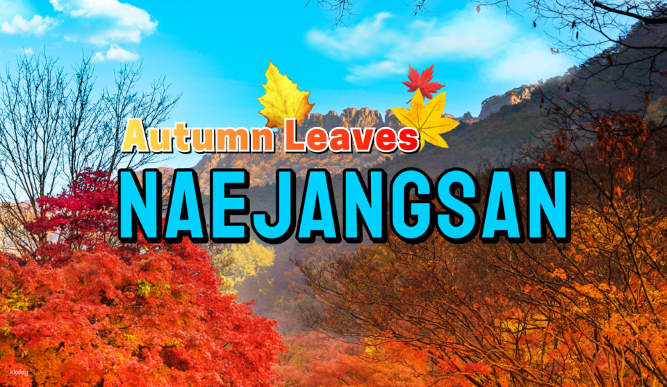 [Autumn Exclusive] Naejangsan 1-Day Tour: Maple Leaves Sightseeing (Departure from Seoul) | South Korea - Photo 1 of 8